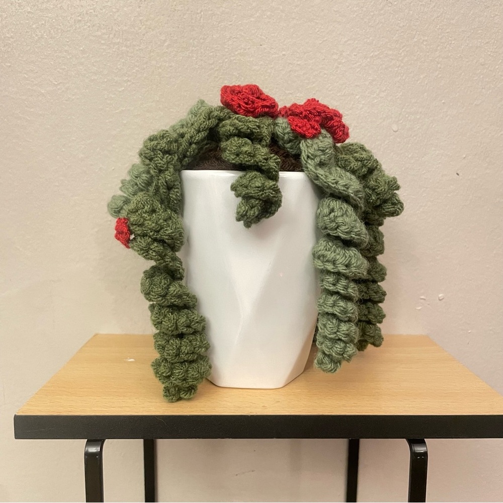 LD Yarn Creations Handmade Green & Red Crocheted Plant Décor – Approx 6” Tall - Picture 6 of 13